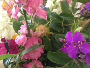 Danielle's Flowers